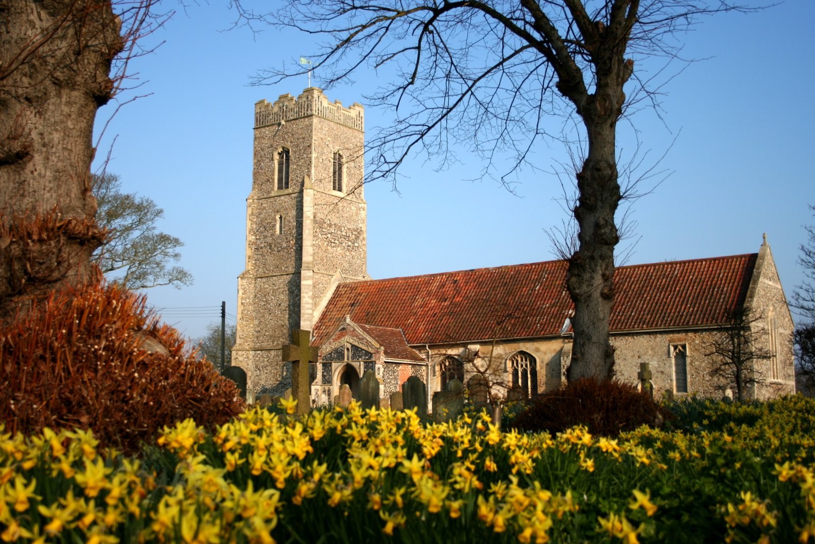 Another view of Snape Church and its daffodils, from near the War Memorial