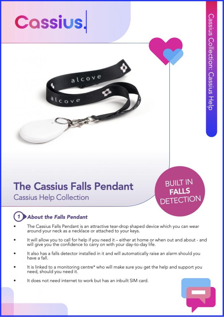 Cassius Falls Pendant Public guide p1