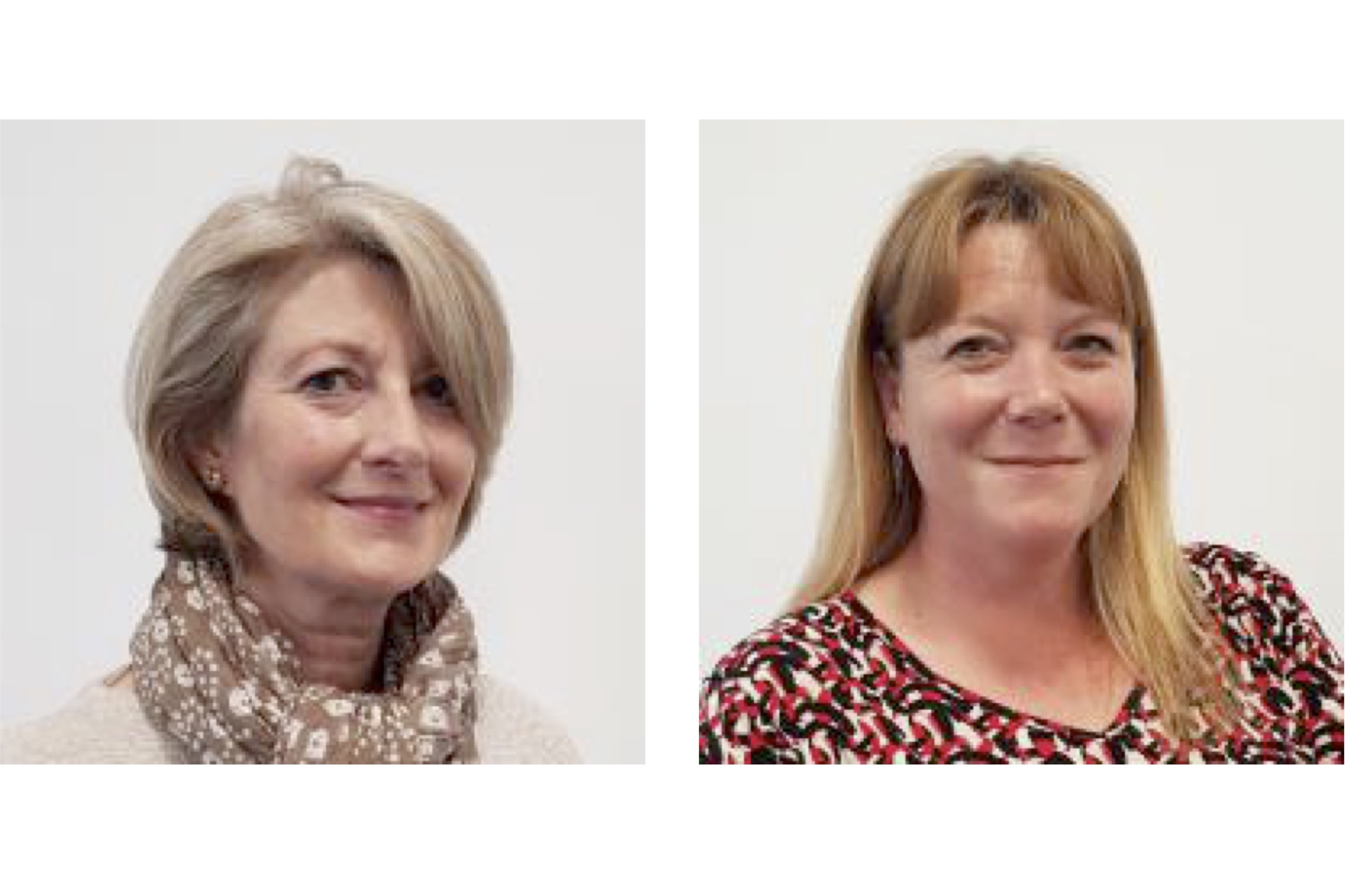 Two of our District Councillors resign