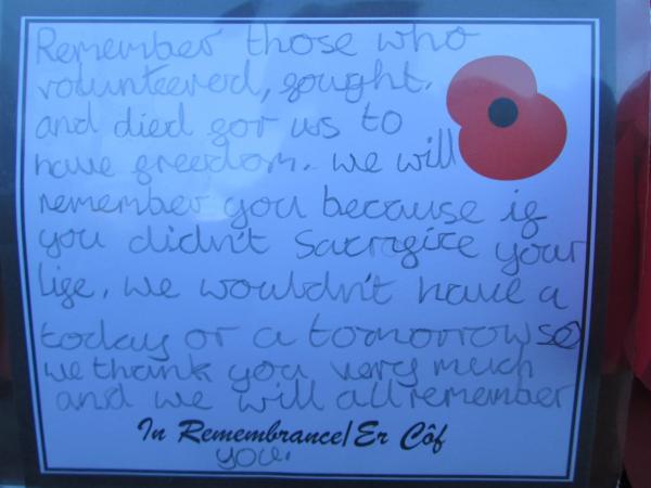 211114 Schools Remembrance Day wreath card IMG 5189