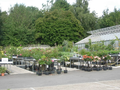 view of Ladybird Nurseries