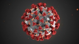 Coronavirus: please help the spread — of useful information!